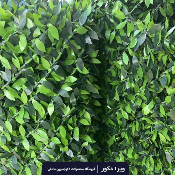 فنس چمن برگ پرتقالی - Image 4