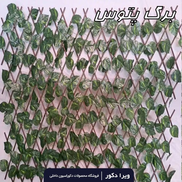 حصار آکاردئونی - Image 5