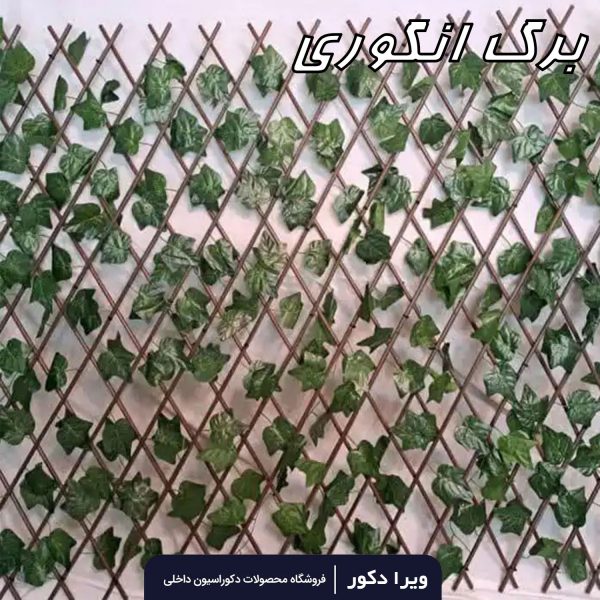 حصار آکاردئونی - Image 3