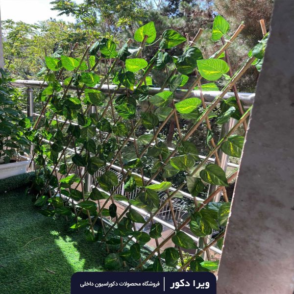 حصار آکاردئونی - Image 8