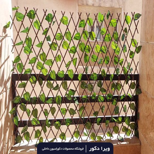 حصار آکاردئونی - Image 6