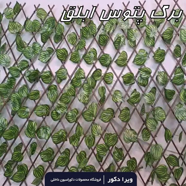 حصار آکاردئونی - Image 2