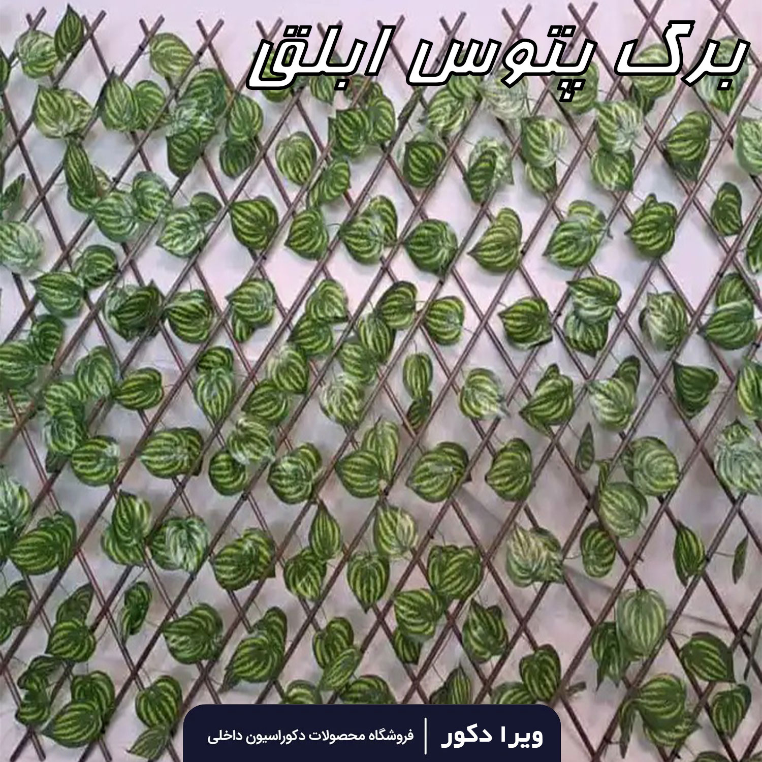 حصار آکاردئونی