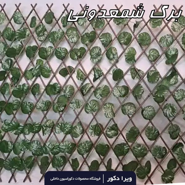 حصار آکاردئونی - Image 4