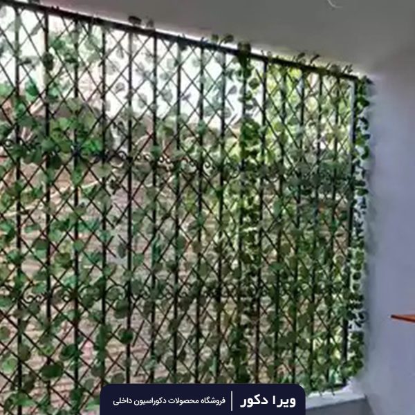 حصار آکاردئونی - Image 7